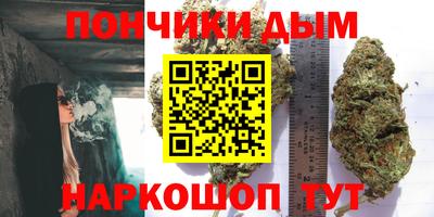 стаф Моздок