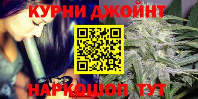 стаф Моздок