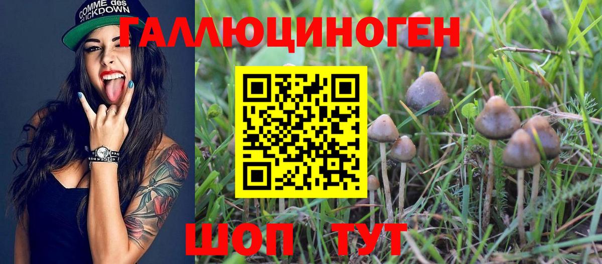 Соликамск  Галлюциногенные грибы Psilocybine cubensis  Вход с VPN 